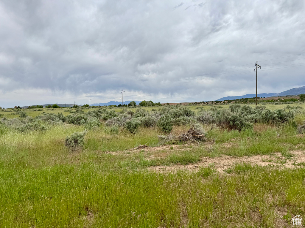 View of local wilderness with rural landscape and a mountain backdrop
