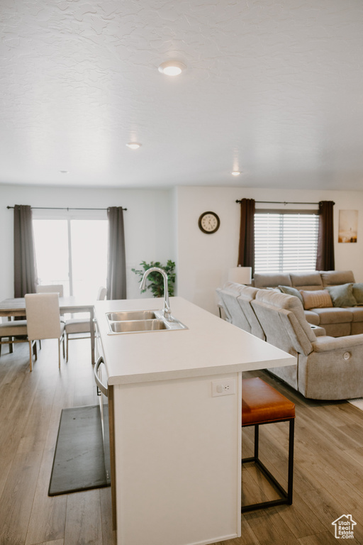 Kitchen featuring a sink, light wood-style flooring, light countertops, and an island with sink