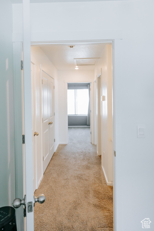 Hallway featuring attic access, light carpet, and baseboards