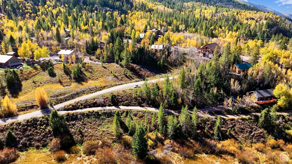 Aerial view of a heavily wooded area and a mountainous background