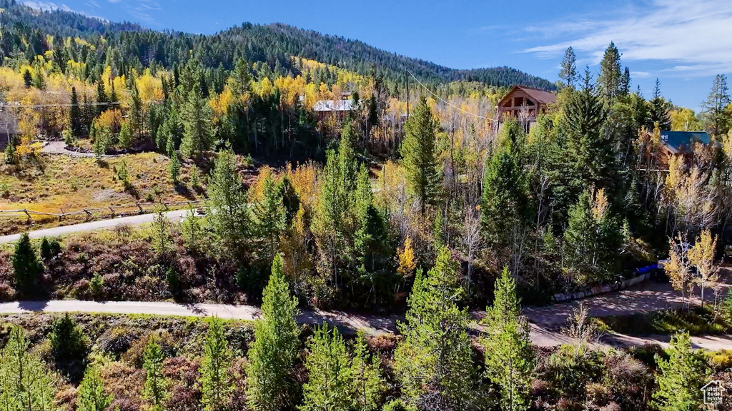 View of mountain background featuring a heavily wooded area