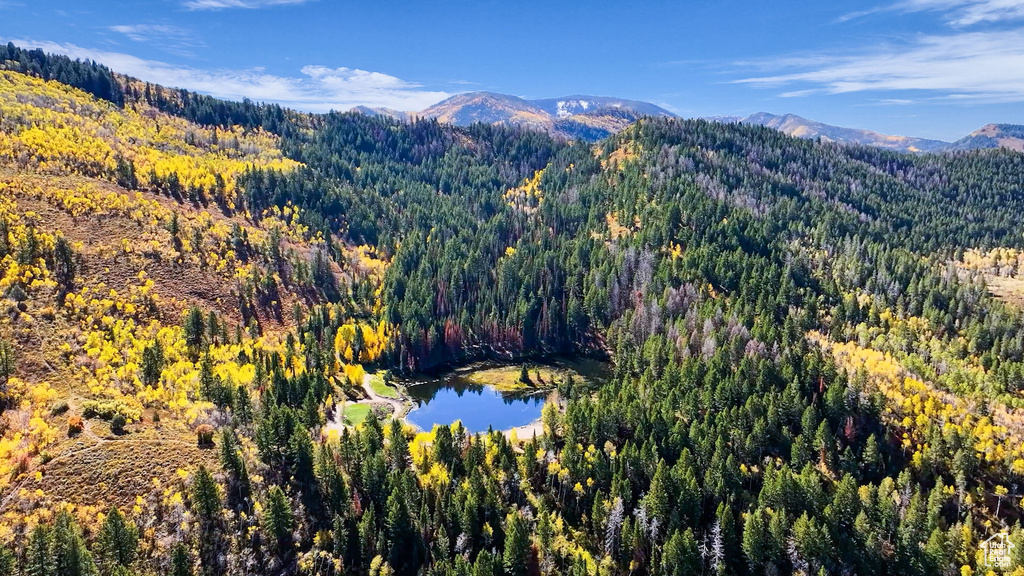 Drone / aerial view of a heavily wooded area and a water and mountain view