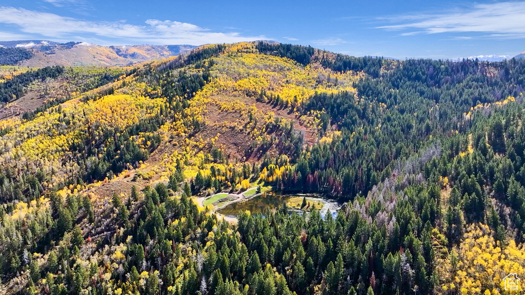 Aerial view of property and surrounding area with a heavily wooded area and a water and mountain view