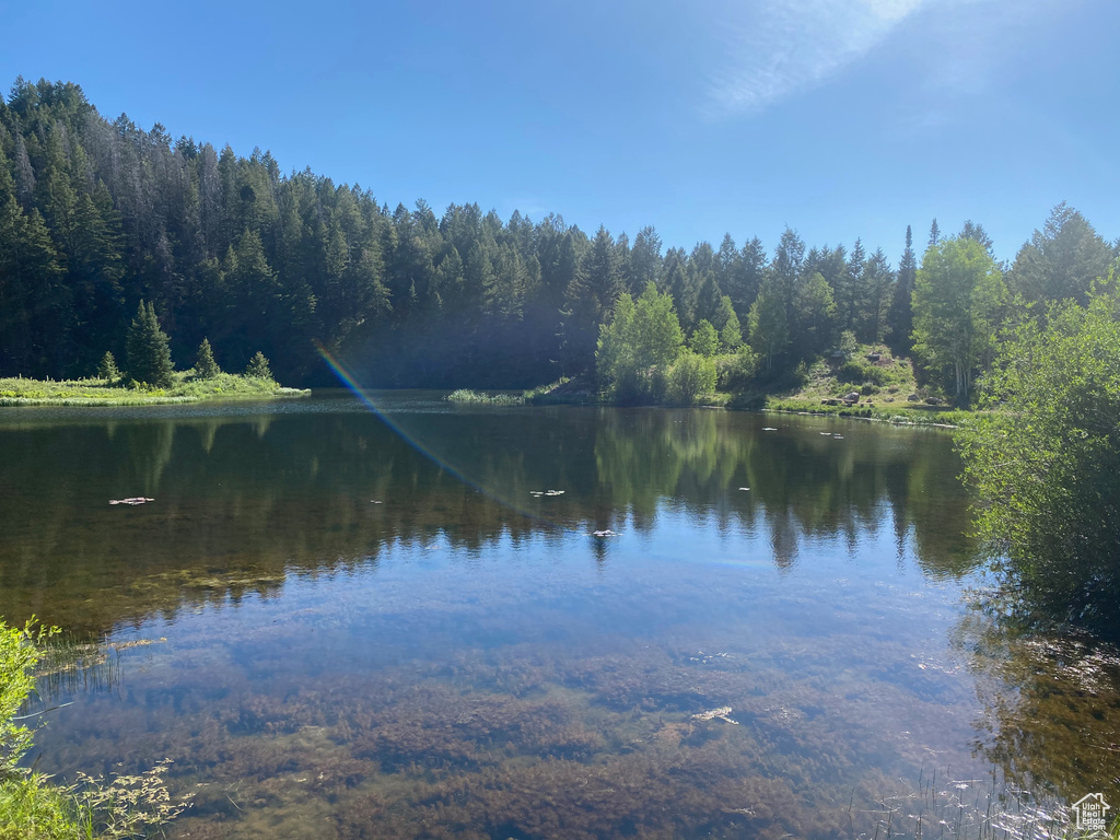 Water view featuring a heavily wooded area