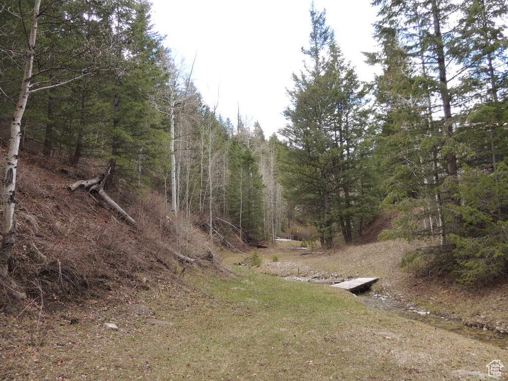View of yard featuring a wooded view