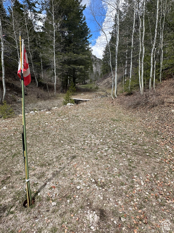 View of nature