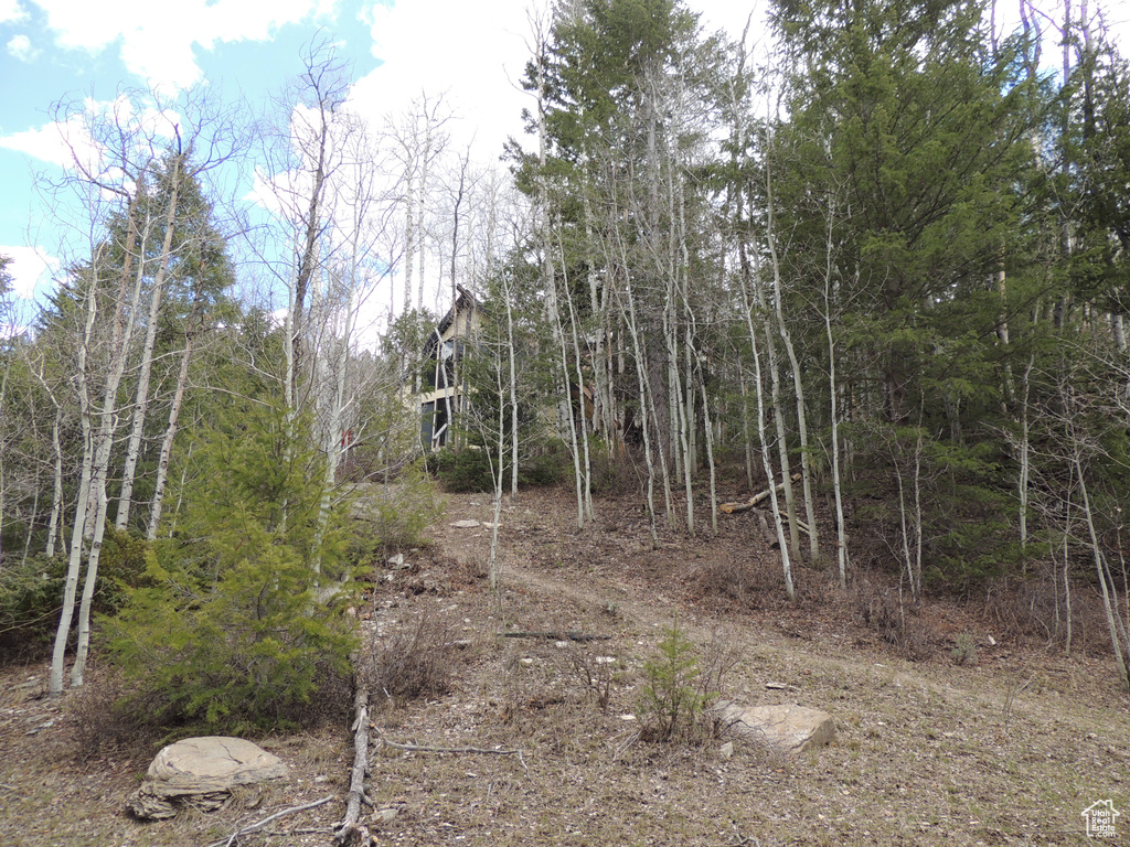 View of nature