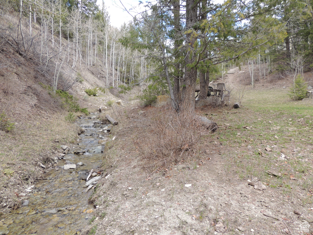 View of nature