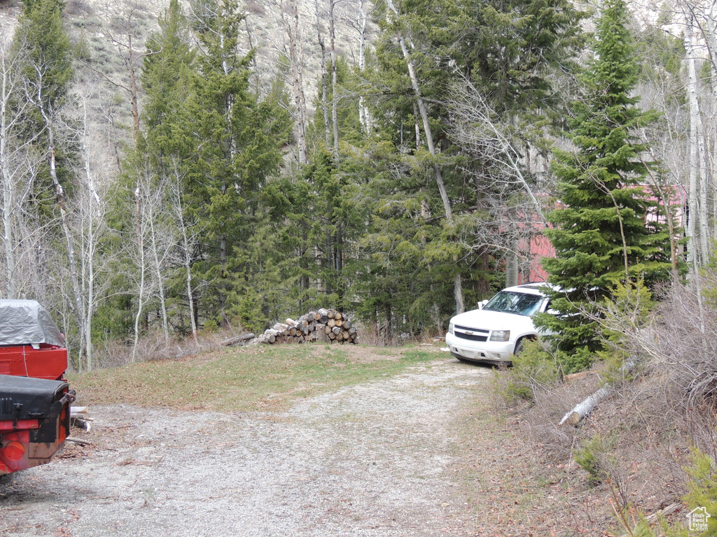 View of dirt / gravel driveway featuring a wooded view