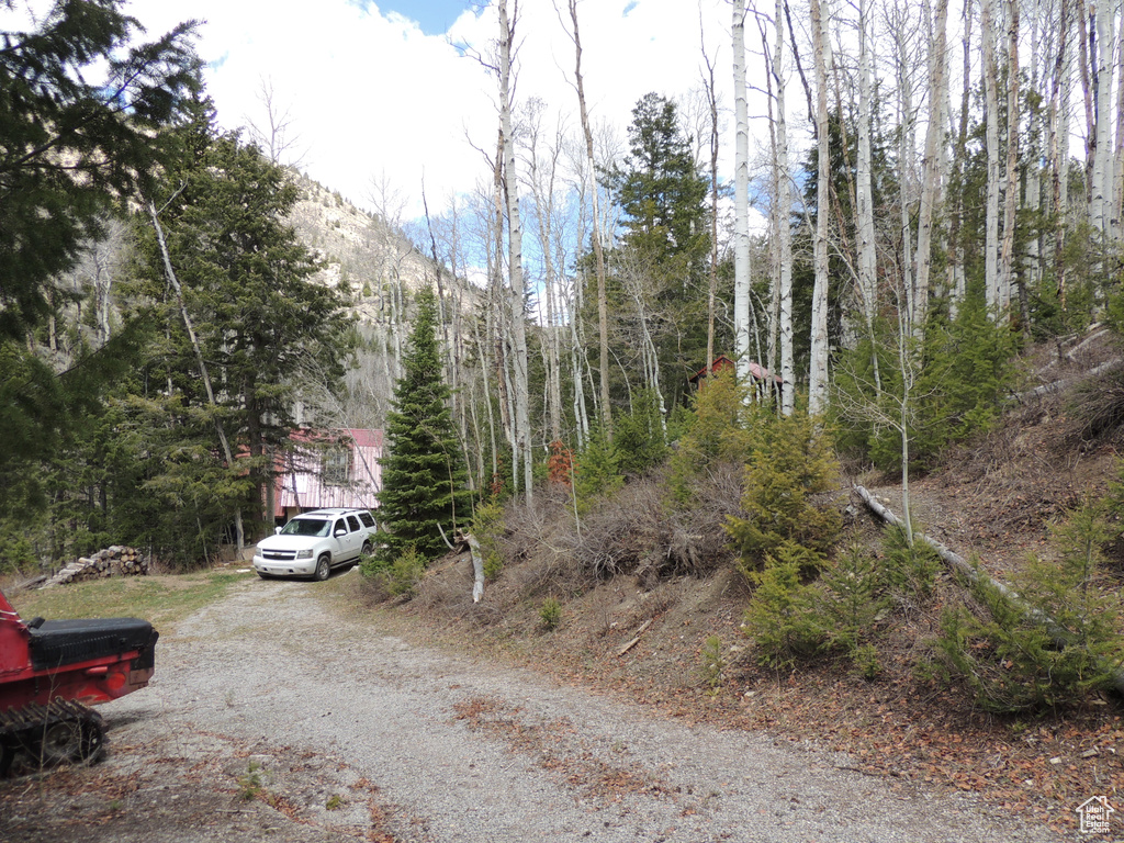 View of dirt / gravel road