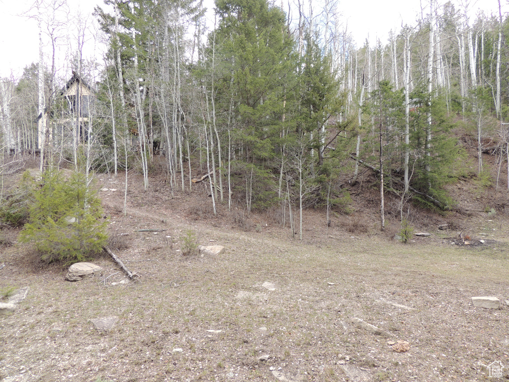 View of undeveloped land