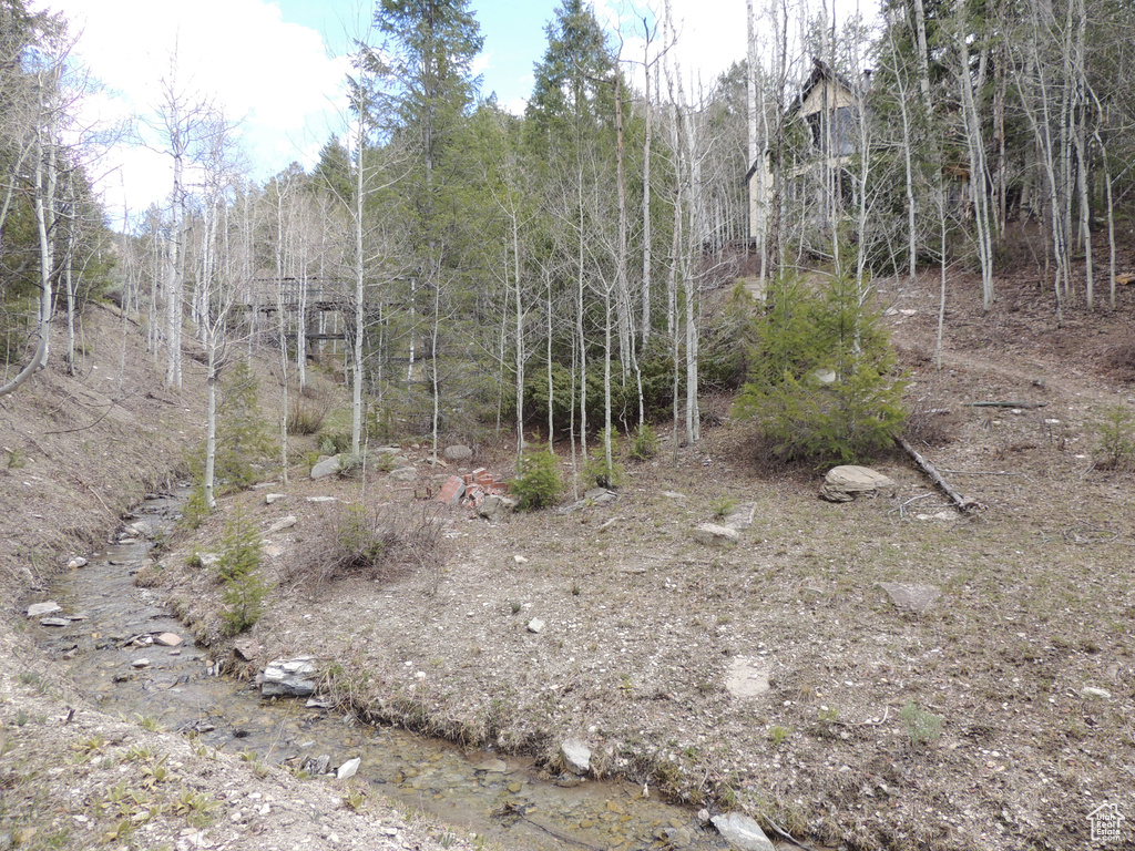 View of woods