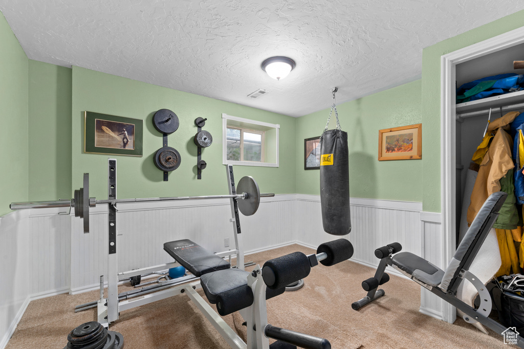 Workout area with a wainscoted wall, a textured ceiling, and carpet