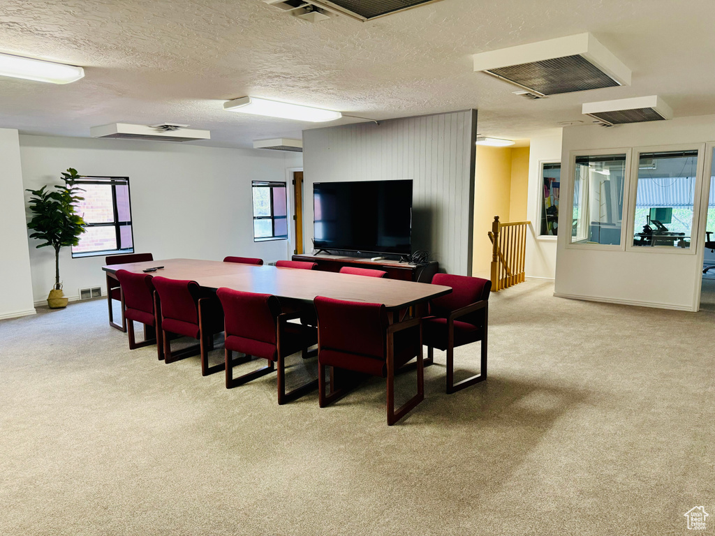 Dining room featuring light colored carpet, healthy amount of natural light, a textured ceiling, and baseboards
