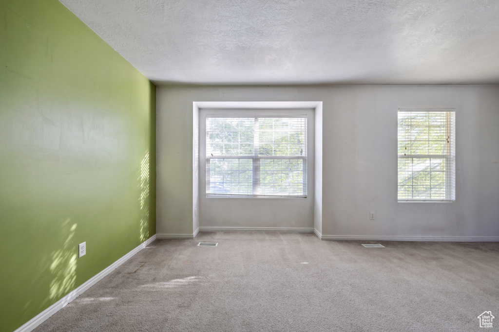 Carpeted spare room featuring healthy amount of natural light, a textured ceiling, and baseboards