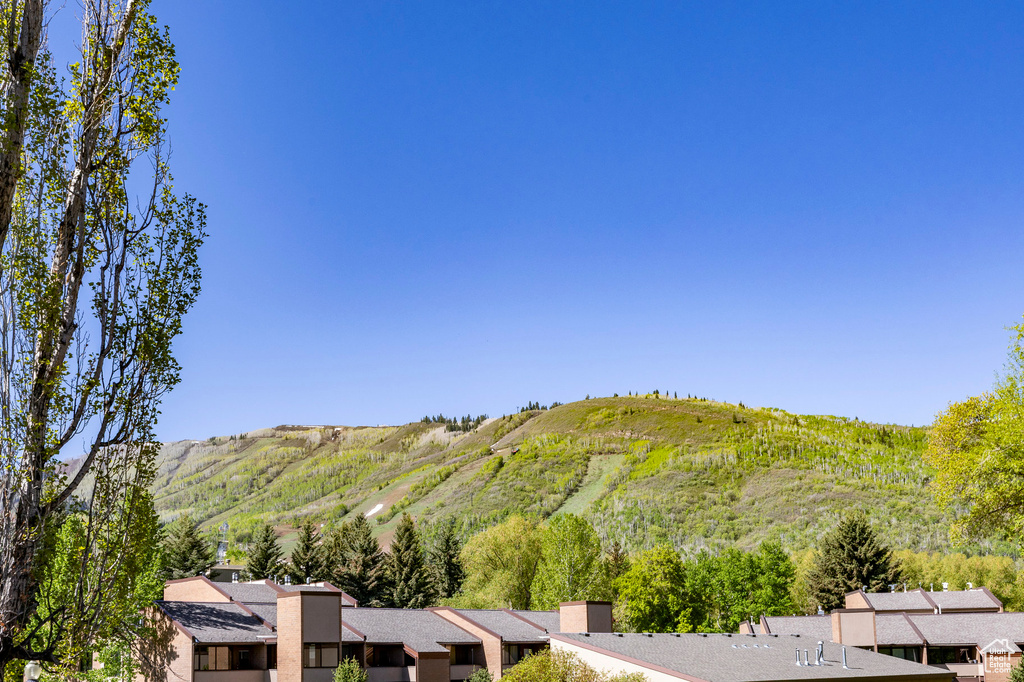 View of mountain background