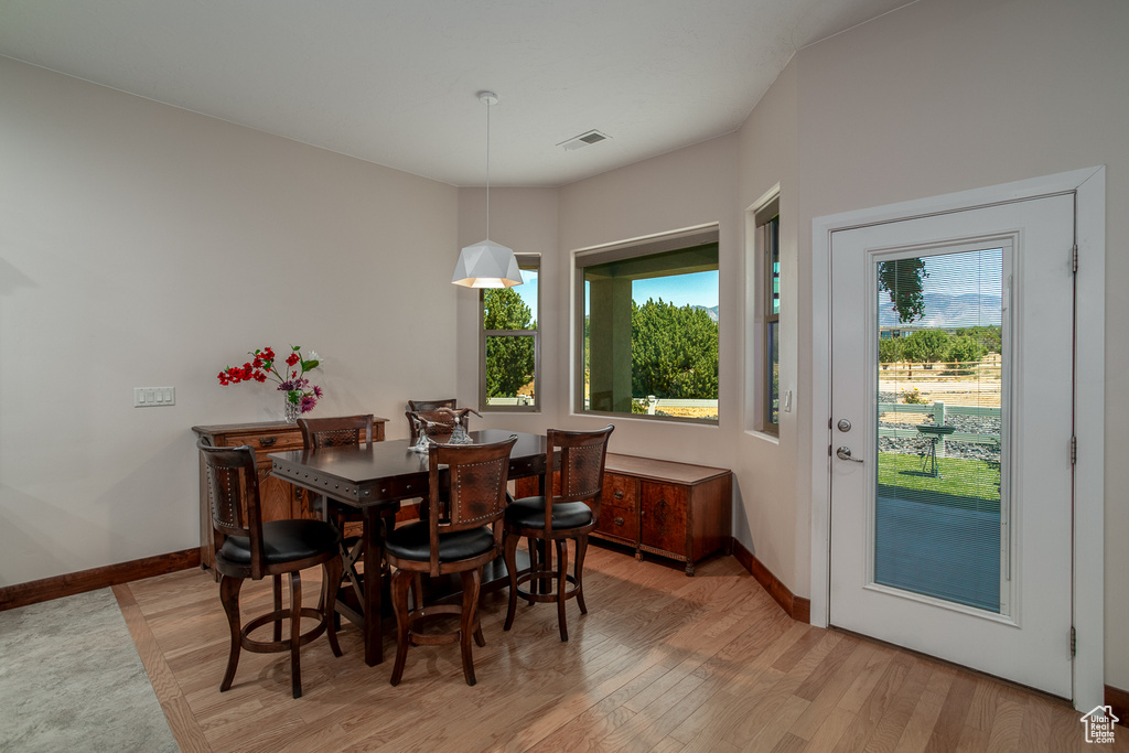 Dining room with light wood-style floors, plenty of natural light, and baseboards