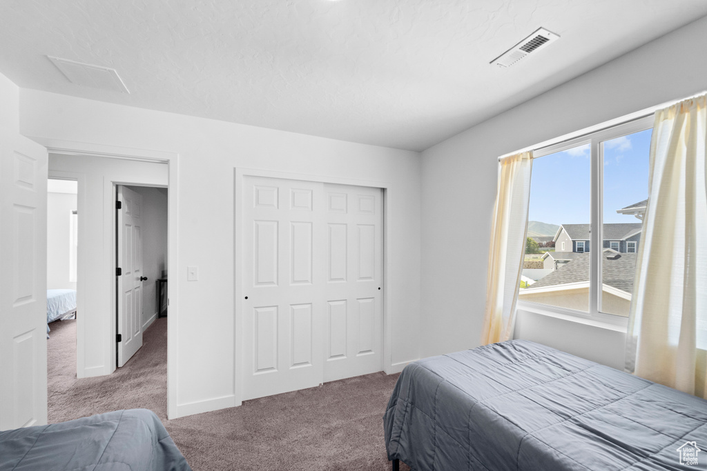 Carpeted bedroom featuring a closet