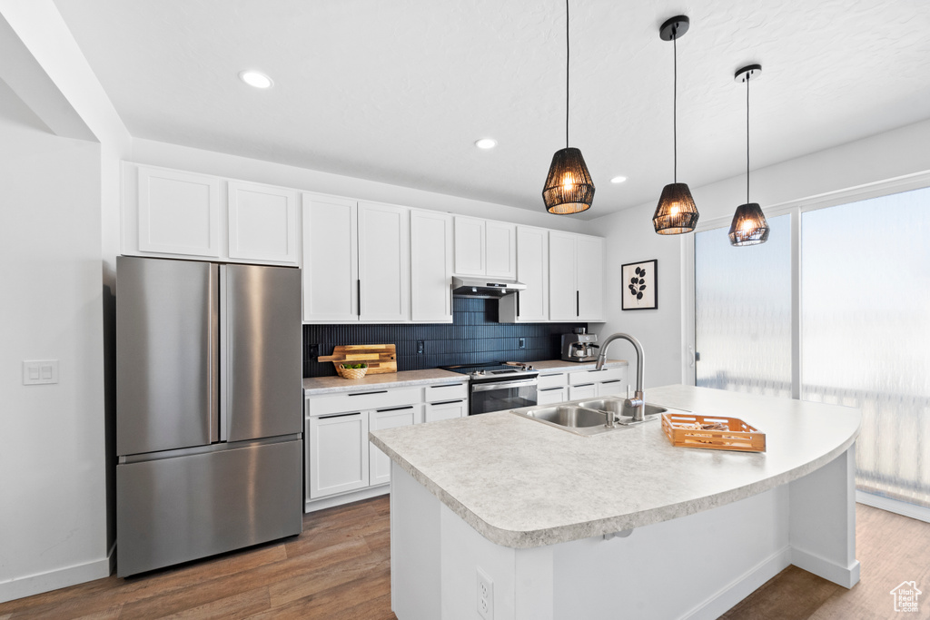 Kitchen with appliances with stainless steel finishes, a sink, wood finished floors, under cabinet range hood, and recessed lighting