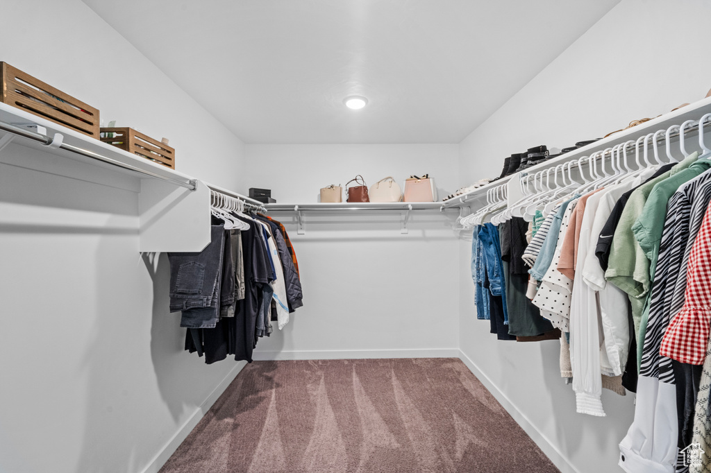 Spacious closet with carpet