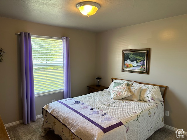Carpeted bedroom featuring multiple windows and baseboards