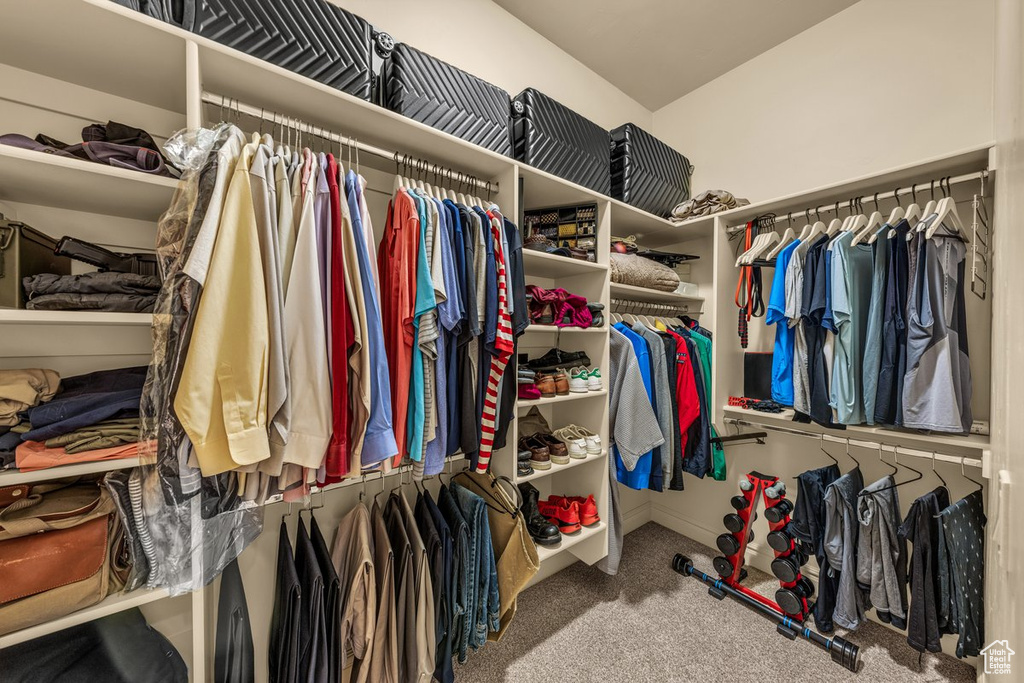 Walk in closet with carpet floors