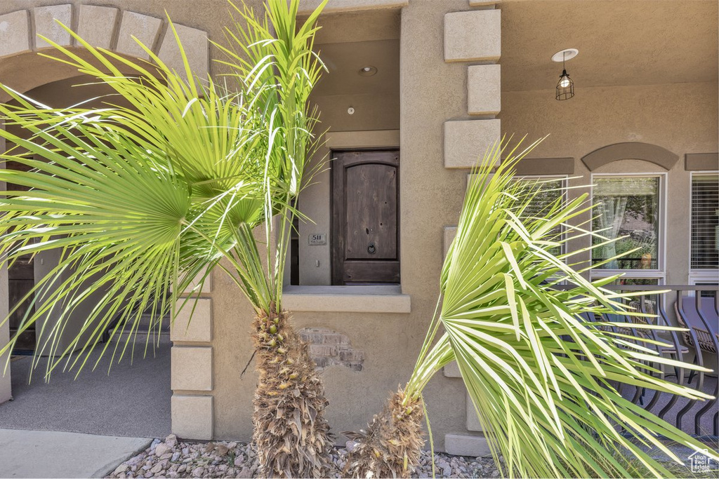 Doorway to property with stucco siding