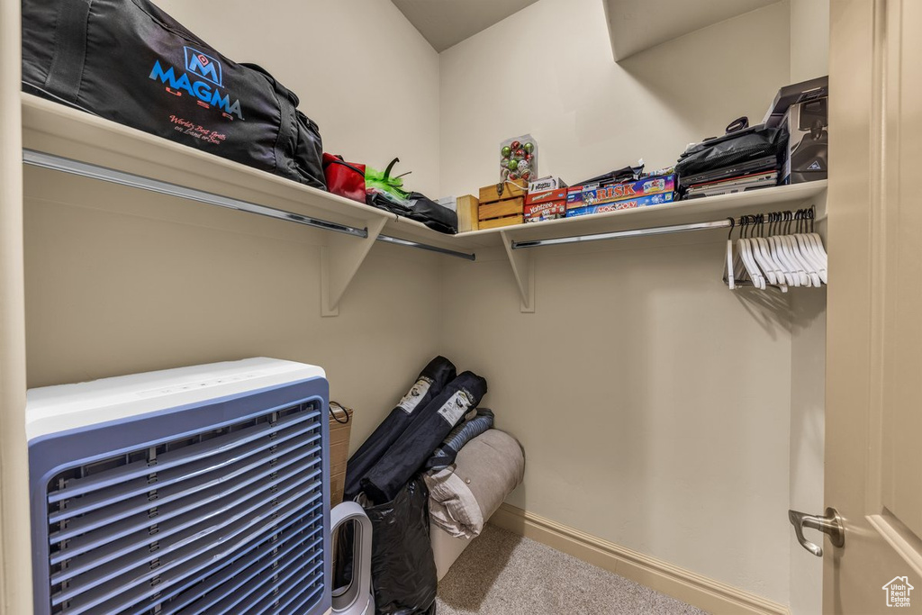 Spacious closet featuring carpet flooring
