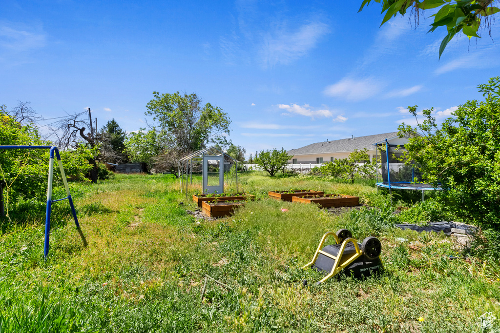 View of yard featuring a vegetable garden and a trampoline