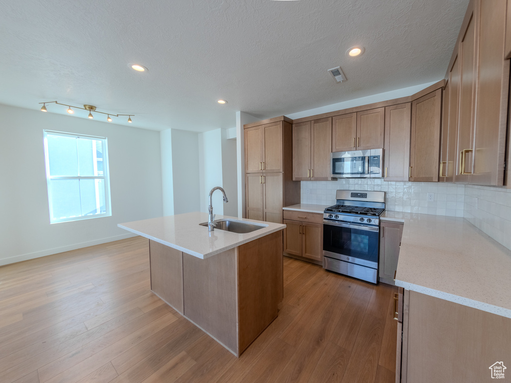 Kitchen with stainless steel appliances, a sink, tasteful backsplash, light wood-style floors, and an island with sink