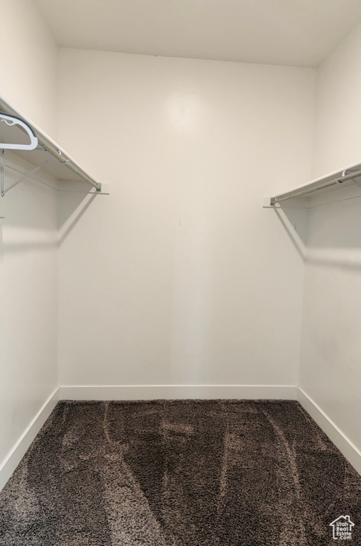 Walk in closet featuring carpet flooring