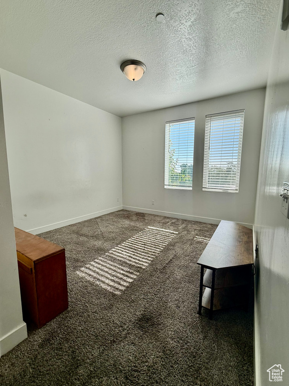 Spare room with carpet flooring, baseboards, and a textured ceiling