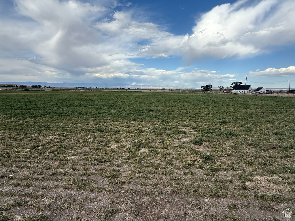 View of yard with a view of rural / pastoral area
