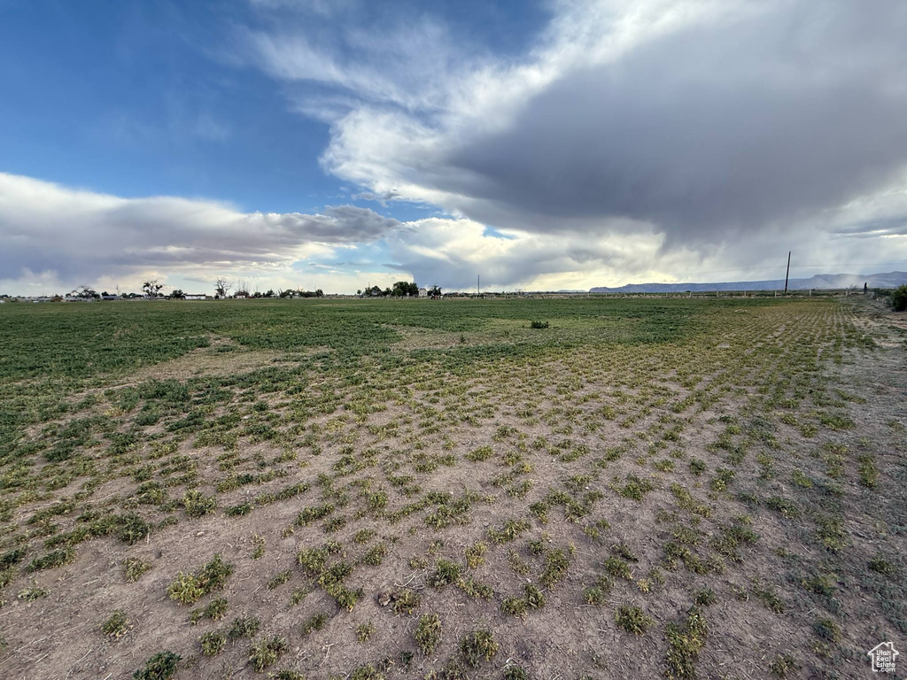 View of yard with a view of rural / pastoral area