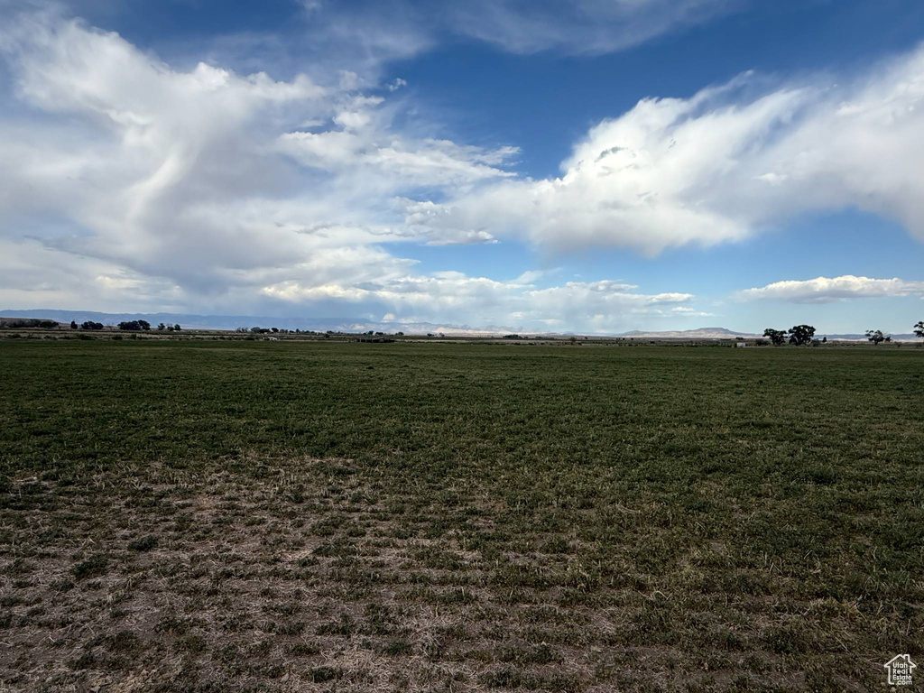 View of grassy yard featuring a rural view