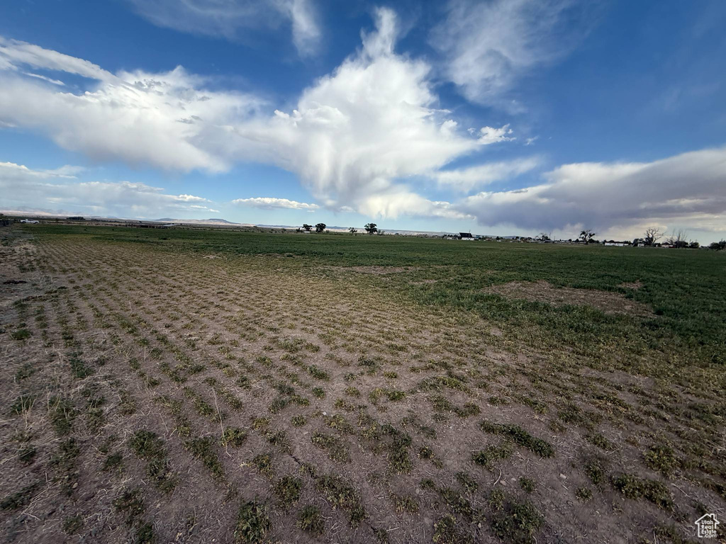 View of yard with a view of rural / pastoral area