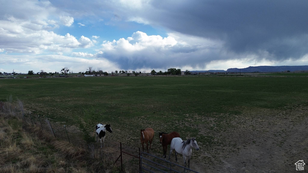 View of yard featuring a rural view