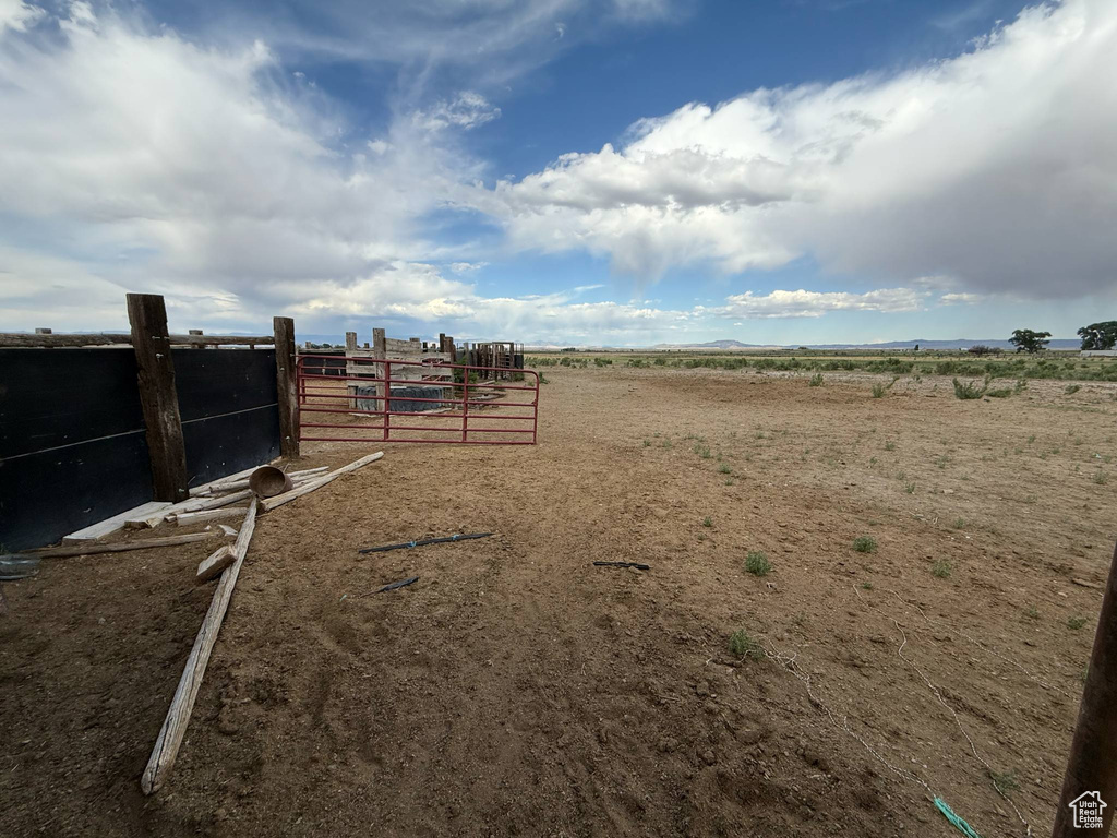 View of yard with a view of rural / pastoral area