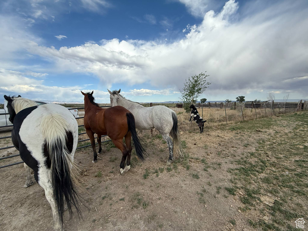 Stable featuring a view of countryside