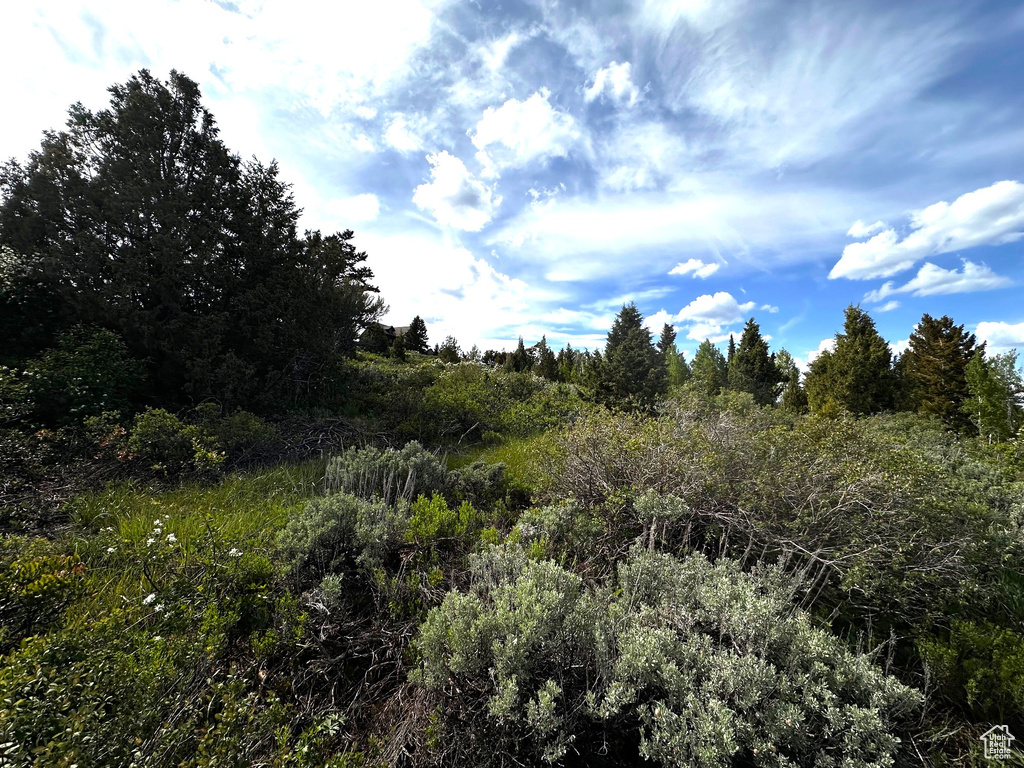 View of nature