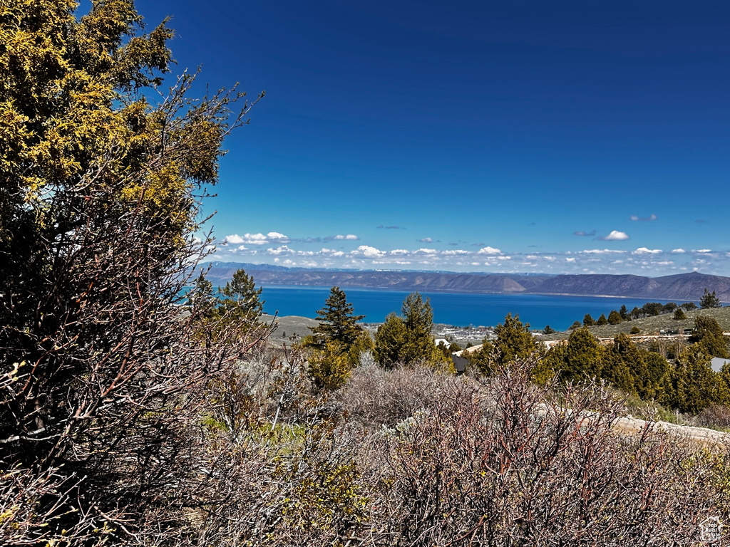 Water view featuring a mountainous background