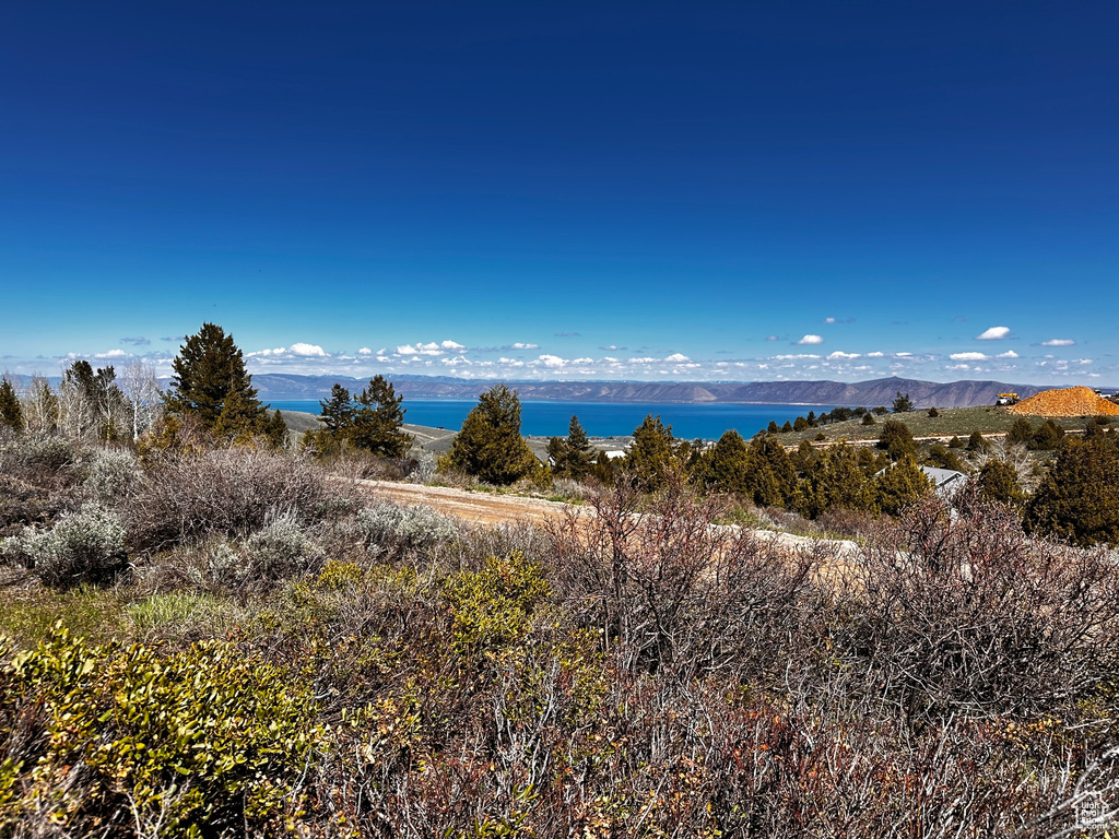 Water view with a mountainous background