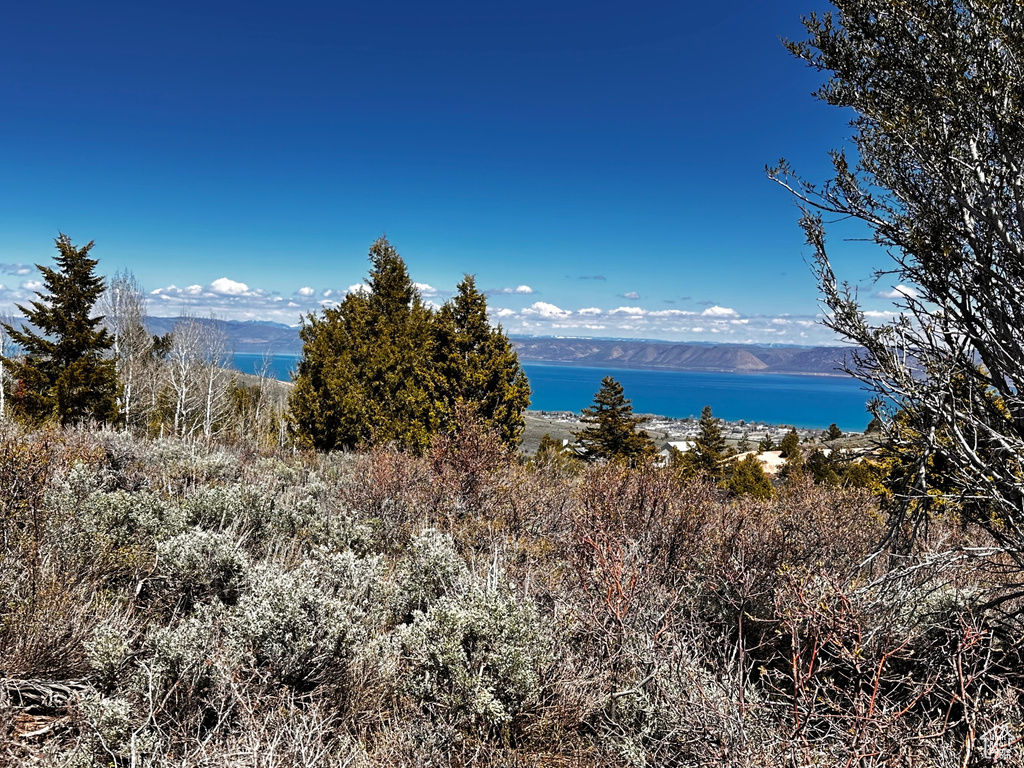 Water view featuring mountains