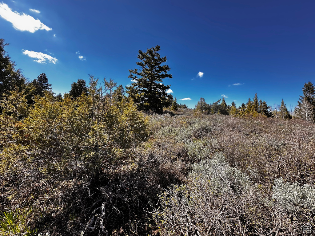 View of nature