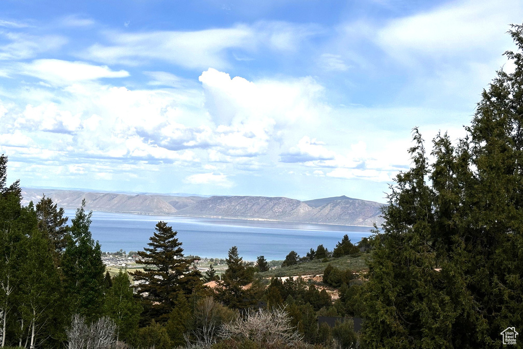Water view featuring a mountainous background