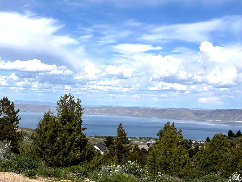 Water view