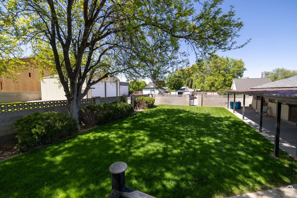 View of yard with a patio area