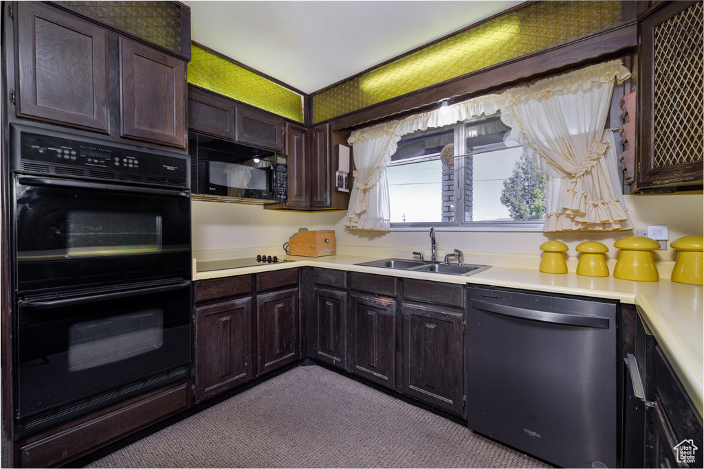Kitchen featuring black appliances, a sink, light countertops, dark brown cabinetry, and dark carpet