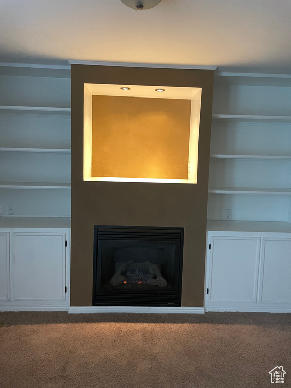 Detailed view of carpet flooring, a fireplace, and built in features