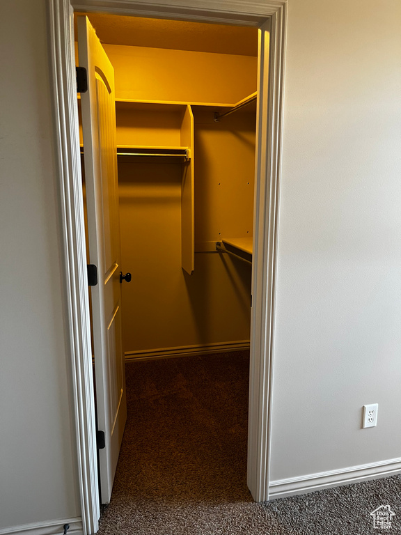 Walk in closet with carpet